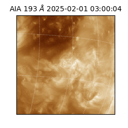 saia - 2025-02-01T03:00:04.843000