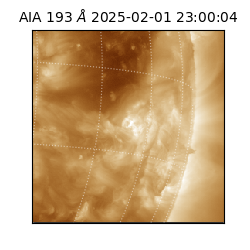 saia - 2025-02-01T23:00:04.843000