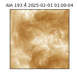 saia - 2025-02-01T01:00:04.843000