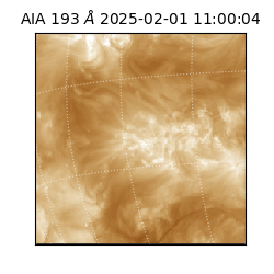 saia - 2025-02-01T11:00:04.843000