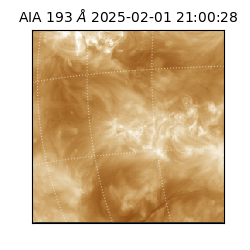 saia - 2025-02-01T21:00:28.843000