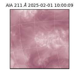 saia - 2025-02-01T10:00:09.630000