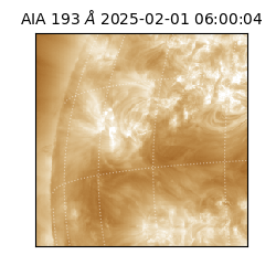 saia - 2025-02-01T06:00:04.843000