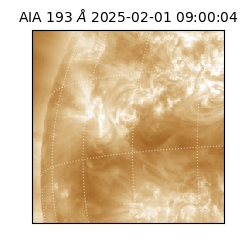 saia - 2025-02-01T09:00:04.843000