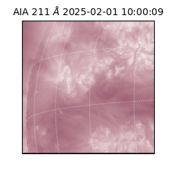 saia - 2025-02-01T10:00:09.630000
