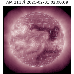 saia - 2025-02-01T02:00:09.630000