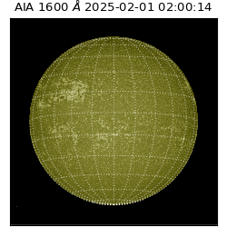 saia - 2025-02-01T02:00:14.129000