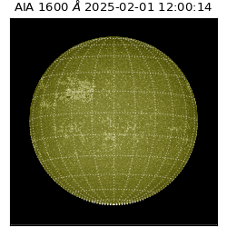 saia - 2025-02-01T12:00:14.126000
