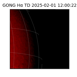 gong - 2025-02-01T12:00:22