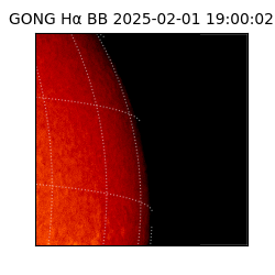 gong - 2025-02-01T19:00:02