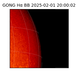 gong - 2025-02-01T20:00:02