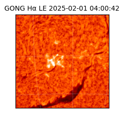 gong - 2025-02-01T04:00:42