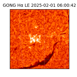 gong - 2025-02-01T06:00:42