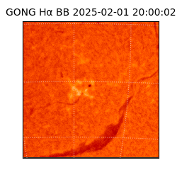 gong - 2025-02-01T20:00:02