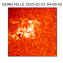 gong - 2025-02-01T04:00:42