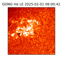 gong - 2025-02-01T06:00:42
