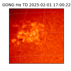 gong - 2025-02-01T17:00:22