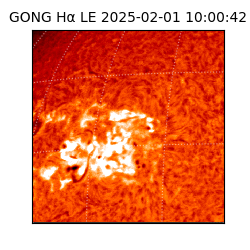 gong - 2025-02-01T10:00:42