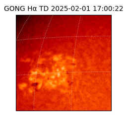 gong - 2025-02-01T17:00:22