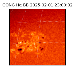gong - 2025-02-01T23:00:02