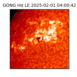 gong - 2025-02-01T04:00:42