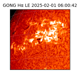 gong - 2025-02-01T06:00:42