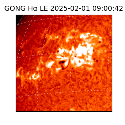 gong - 2025-02-01T09:00:42