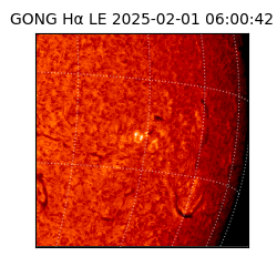 gong - 2025-02-01T06:00:42