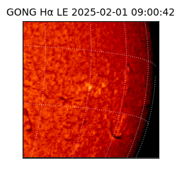 gong - 2025-02-01T09:00:42