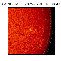 gong - 2025-02-01T10:00:42