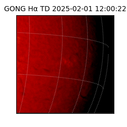 gong - 2025-02-01T12:00:22