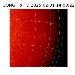 gong - 2025-02-01T14:00:22