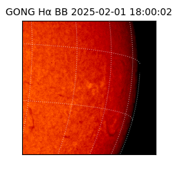 gong - 2025-02-01T18:00:02