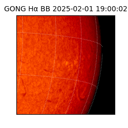 gong - 2025-02-01T19:00:02