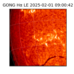 gong - 2025-02-01T09:00:42