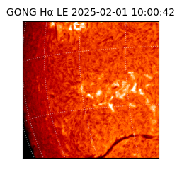 gong - 2025-02-01T10:00:42