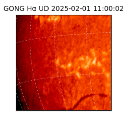 gong - 2025-02-01T11:00:02