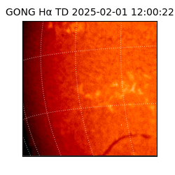gong - 2025-02-01T12:00:22