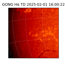 gong - 2025-02-01T16:00:22