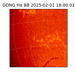 gong - 2025-02-01T18:00:02