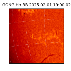 gong - 2025-02-01T19:00:02