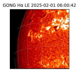 gong - 2025-02-01T06:00:42