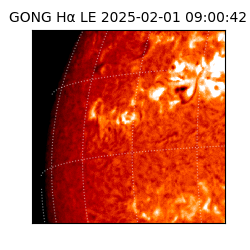 gong - 2025-02-01T09:00:42