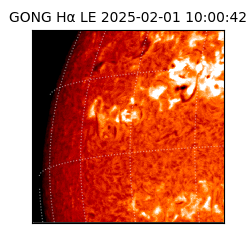 gong - 2025-02-01T10:00:42