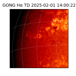 gong - 2025-02-01T14:00:22