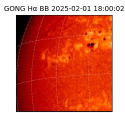 gong - 2025-02-01T18:00:02
