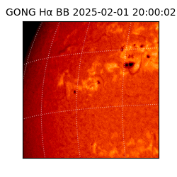 gong - 2025-02-01T20:00:02