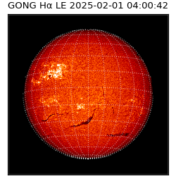gong - 2025-02-01T04:00:42