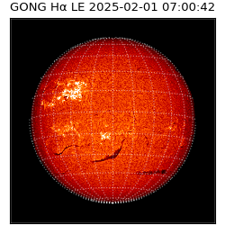gong - 2025-02-01T07:00:42