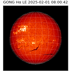 gong - 2025-02-01T08:00:42
